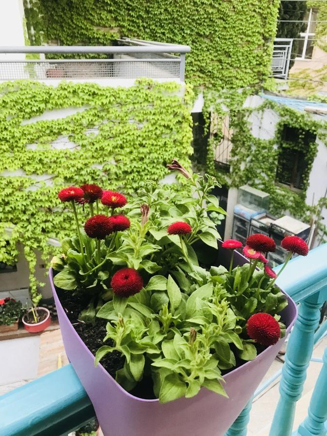 Guest House Marina 2 Тбилиси Екстериор снимка